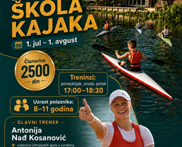 Poster - skola